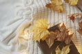 cozy autumn composition with autumn dried maple leaves, lights and a book on a white knitted background. Royalty Free Stock Photo