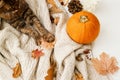 Cozy autumn. Cute tabby cat holding autumn leaves, relaxing on warm knitted sweater with pumpkin, cone and acorns. Top view. Happy Royalty Free Stock Photo