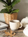 Cozy autumn home still life of a houseplant, a mug with a drink, a knitted blanket and magazines on a rustic wooden table Royalty Free Stock Photo
