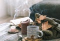 Cozy autumn morning breakfast in bed still life scene. Steaming cup of hot coffee, tea standing near window. Fall Royalty Free Stock Photo