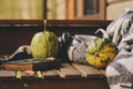 Cozy autumn morning at country house, cup of tea and warm blanket on wooden table