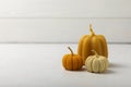 Cozy autumn pumpkin candles on white wood texture. Royalty Free Stock Photo