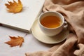Cozy Autumn Scene with Tea Royalty Free Stock Photo