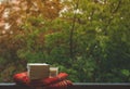 Cozy autumn still life: cup of hot coffee and opened book on vintage windowsill and rain outside. Autumn. Apartment. Rain