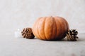 Cozy autumn still life with orange pumpkin, pine cones and candle light. Copy space for text. Holiday background for Halloween or Royalty Free Stock Photo