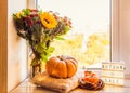 Cozy autumn still life on the windowsill: sunflowers, pumpkin, sweaters, persimmon and lightbox with title Autumn sale