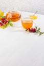 Cozy autumn teatime with rose hip tea in teapot with cup, honey, dog rose branch on soft light white wood table, copy space. Royalty Free Stock Photo