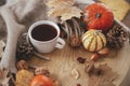 Cozy autumn. Warm cup of tea, pumpkins, autumn leaves, cones, cozy scarf on rustic wooden table in farmhouse. Fall in rural home. Royalty Free Stock Photo