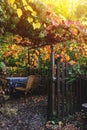 cozy autumn yellow backyard with wooden table and chairs Royalty Free Stock Photo