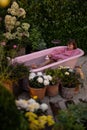 Cozy backyard with a woman bathing in pink bathtub Royalty Free Stock Photo