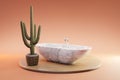 cozy bathbutb with cactus on wooden podest on infinite background 3D Illustration