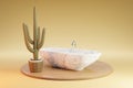 cozy bathbutb with cactus on wooden podest on infinite background 3D Illustration