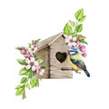 Cozy birdhouse with flowers spring leaves and chickadee. Watercolor realistic illustration. Blooming apple flowers and