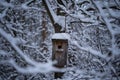 cozy birdhouse in a snowy forest, incredible wildlife