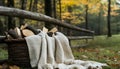 Cozy Blanket and Firewood Basket by a Rustic Fence in a Tranquil Forest Setting Royalty Free Stock Photo