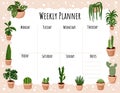 Cozy boho weekly planner and to do list with hygge potted succulent plants ornament. Cute lagom template for agenda, planners,