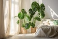 Cozy bright bedroom with indoor plants.Home interior design.Biophilia design,urban jungle concept Royalty Free Stock Photo