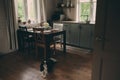 Cozy cabin interior. Country grey kitchen with open shelving in rustic style