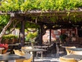 A cozy cafe under a lively green canopy on the banks of the River Aniene in Tivoli, Italy