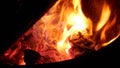 Cozy campfire close-up Royalty Free Stock Photo