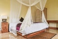 Cozy canopy bed in bedroom