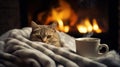 Cozy Cat Enjoying Warmth by the Fireplace. Cat wrapped in a soft blanket, relaxing by the fireside with a steaming cup