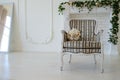 Cozy chair in the photo studio with wedding decoration and flowers bouqet