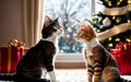 Cozy Christmas Comforts A Charming Scene with Cats and Festive Warmth