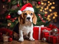 Cozy Christmas Scene Playful Beagle, Santa Hat, and Festive Decorations,ai generated