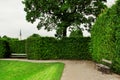 Cozy city garden with old wooden benches Royalty Free Stock Photo