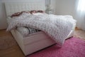 Cozy compact bedroom with white furniture, pink carpet and tulle curtains. Fluffy feather blanket is thrown over the bed Royalty Free Stock Photo