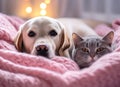 Cozy Companions Golden Labrador and White Cat in Pink Blanket