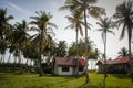 A cozy country house and a lot of coconut palms near the ocean. Indonesia, Sumatra
