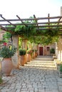 Cozy courtyard of Arkadi monastery with vine trees and flowers in pots Royalty Free Stock Photo