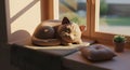 Cozy 3D Cat Sleeping on a Sunny Windowsill Royalty Free Stock Photo
