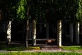 A cozy dark shady courtyard, inside of which there are columns under the foliage of birches in the morning