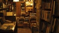 The cozy dimly lit interior of this defocused record store immediately brings to mind images of a bygone era. Old wooden