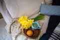 Cozy Easter, Spring Still Life Scene. Cup Of Tea And yellow daffodils On Bed.