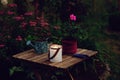 Cozy evening garden summer scene with candle light