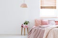 Cozy, feminine bedroom with pink bed, decorative cushions and pl Royalty Free Stock Photo