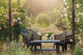 Cozy garden patio under an arch of blooming roses. Comfortable beautiful furniture for relaxing