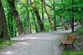 Cozy green alley of the park with a wooden bench