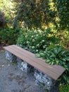 Cozy green corner, landscaping garden with a bench and plants on a nice summer