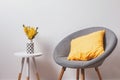 Cozy grey chair with yekllow pillow and flowers in the vase standing near the white wall.