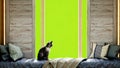 Cozy home concept cat sits on a mattress by the window 3d render image green screen