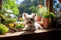 Cozy Home Home Gardening With A Furry Friend
