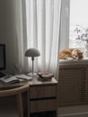 Cozy home office interior - a desk with work, educational supplies, a red cat on the window. Cozy house concept Royalty Free Stock Photo