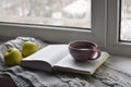 Cozy home still life: cup of hot coffee, green apples and opened book with warm plaid on windowsill against snow Royalty Free Stock Photo