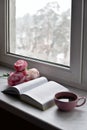 Cozy home still life: cup of hot coffee, spring flowers and opened book with warm plaid on windowsill against snow Royalty Free Stock Photo