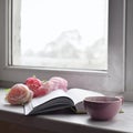 Cozy home still life: cup of hot coffee, spring flowers and opened book with warm plaid on windowsill against snow